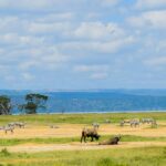Kenya and Tanzania Safari